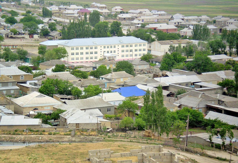 Трудолюбивые гелинцы