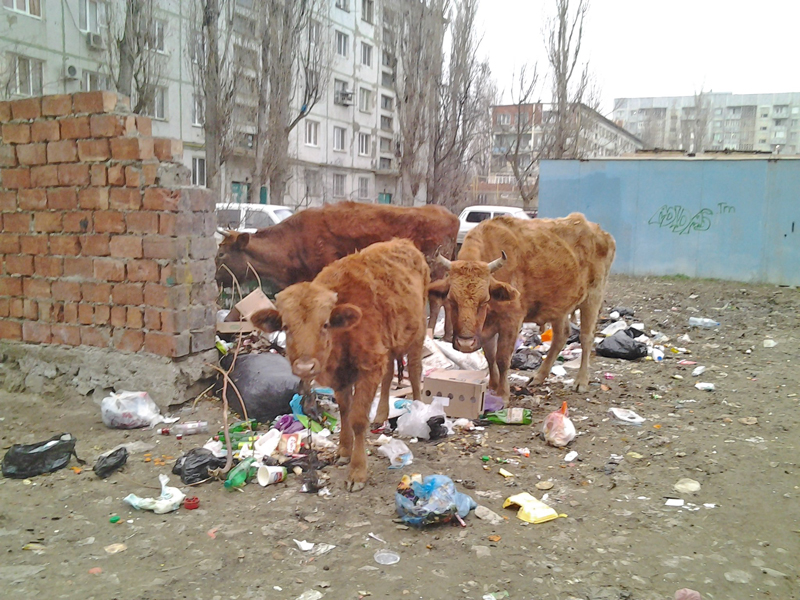 Умылся сам - прибери планету