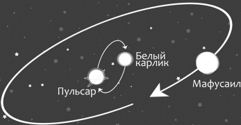 Ровесница Вселенной 