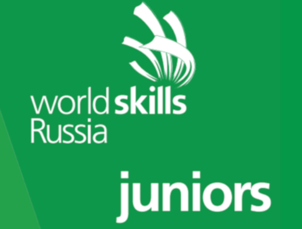 WorldSkills Russia 2020-2