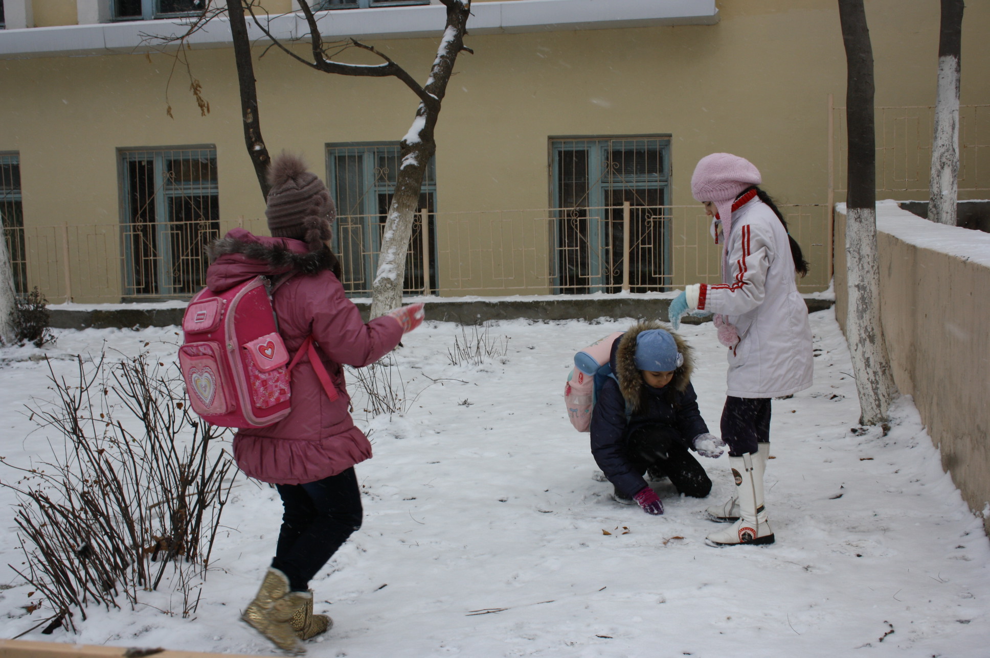 Первый снег